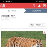 [댓글부탁해] <b>새침</b>한