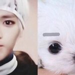 [NCT] 약속대로 글 새로 썼어 링크 ㅇ 짤파티부탁행