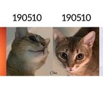 [강다니엘] <b>여태</b>까지 바꼈던 강다니엘 인별프로필
