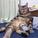 쉰다는 건.. 이렇게까지 <b>편안</b>한 것