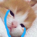 [EXO] 준면이 요즘 착장 너무 예뻐 ㅠㅠㅠㅠㅠ