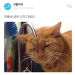 [방탄소년단] 우리<b>버스</b>에 애옹 또 등장