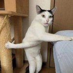 [댓글부탁해] 마블<b>팬</b>이 많을까 국내 <b>아이돌</b> <b>팬</b>이 많을까