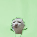 [프듀<b>X</b>] 김우석 요근래 또 <b>팬</b>이랑