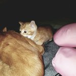 [댓글부탁해] 4살<b>연상</b> <b>남친</b>한테 애기라고 하는거 ㅇㄸ