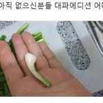 에어팟이 꼭 필요한거임?