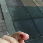 [댓글부탁해] 중3 역사 벼락치기 가능한지 봐주세요ㅠ
