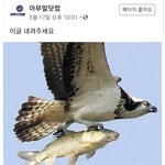 너네 카톡 <b>읽씹</b>당하면