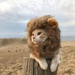 [NCT] 마크 왜 <b>사막</b>감?