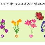 연애 심리 테스트