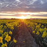 여자<b>sns</b>서 공감을 많이받는 글귀 공통점