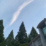 [댓글부탁해] 고2 <b>자퇴</b> 너무 늦었나 ?