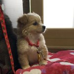 너네 <b>믹스</b> 안예쁘다고 하지 마라(사진ㅇ)