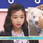 여자는 고양이상보다 <b>개상</b>이 좋다.