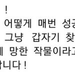 혼자 <b>바다</b>가는거 에바?