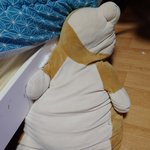 [꼭조언부탁] 우리<b>집</b> 강아지를 압사시켜 죽인 <b>친구</b>