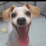 우리집 <b>막냇동생</b>