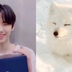 [드루와] 나 오늘 우연히 존잘남강아지랑 <b>산책</b>함