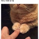 특성화고 대학 성공 <b>사례</b>
