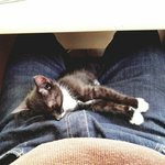 <b>MT</b>에서 맞은 아침