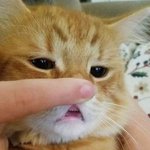 [댓글부탁해] 이거 너무 <b>남도현</b>이야 ㅠㅠ