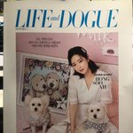 <b>애니멀</b>고 GOM 코인, 코인베네 상장 이틀 후 오히려 가격이 더...