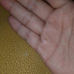 부산 <b>쇼파</b> 벌레, 재료 가짜쓰고 나몰라라 하는 <b>쇼파업체</b>