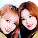 자존감 지킴이 같은 쌍김이들