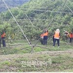 하나님의교회 대학생들, 여름방학 맞아 <b>농촌</b> 봉사활동!