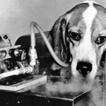 [드루와] +)너네 담배 이거 몰랐지??