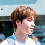 [프듀X] 남도현 꼭 데뷔시키고 죽는다