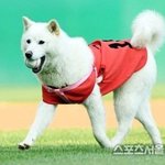 강다니엘 <b>시구</b> 이 모습일듯