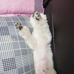 요즘 뉴스들