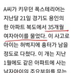 [개깊은빡침] 강형욱 인스타찾아가서 따지네????????