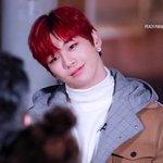 녤시구에 대한 두 팬덤의 싸움