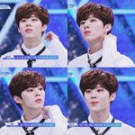 [프듀X] 내가품은 경력즈 애들