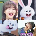 [댓글부탁해] 동물 닮은 아이돌 모음 (내주관주의)