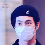 [EXO] <b>캥거루</b> 베레모 쓴 토깽이라니ㅠㅠㅠ