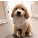 [댓글부탁해] 고양이 사진 <b>줄</b> <b>사람</b>