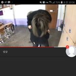 [드루와] 숨양 동영상<b>삭제</b>하는거 실시간으로 봄