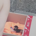 야 지금 <b>손가락</b>만<b>한</b> 고양이가