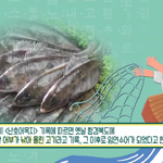 노가리의 뜻이 정말 노가리였군여 ㅋ