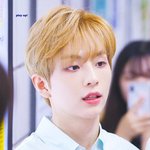 [프듀X] 와 숨은 <b>보석</b>이다 진짜..