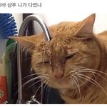 다이어트 이렇게하면 살 빠질까