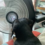 왤케 기엽지 하 너무 <b>조타</b>