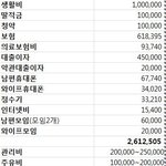 [꼭조언부탁] 다들 한달에 얼마가지고 생활하시나요~~