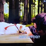 [댓글부탁해] 영화에 나오는 고양이 귀여운척 쩔게함