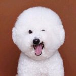 [댓글부탁해] 하나 티켓 일괄 <b>배송</b> 안 됨??