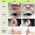 혀말기도 <b>연습</b>하면 될수있어?