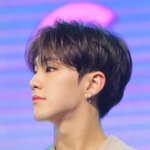 [세븐틴] 밑에 호시글 <b>바톤</b>